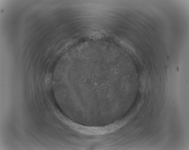 X0000080670034200612301411