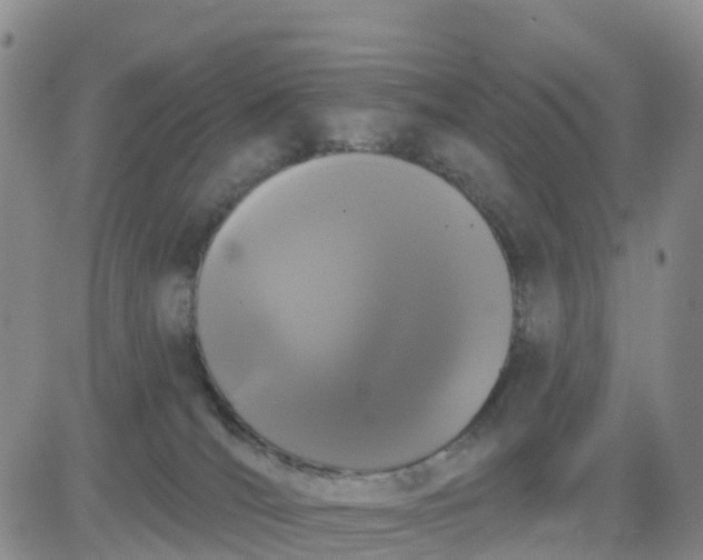 X0000080670036200612301411