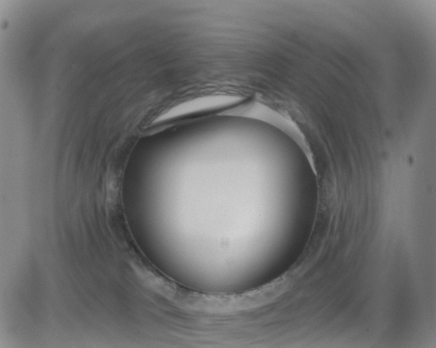 X0000080670037200612301411