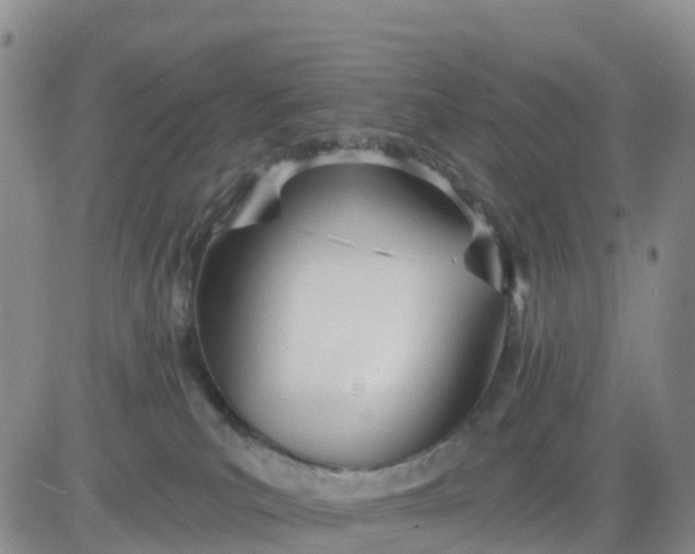 X0000080670039200612301411