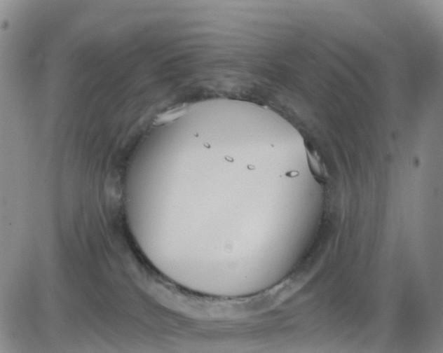 X0000080670040200612301411