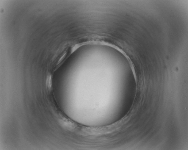 X0000080670041200612301411