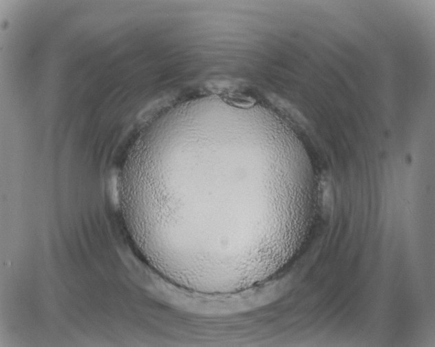 X0000080670042200612301411