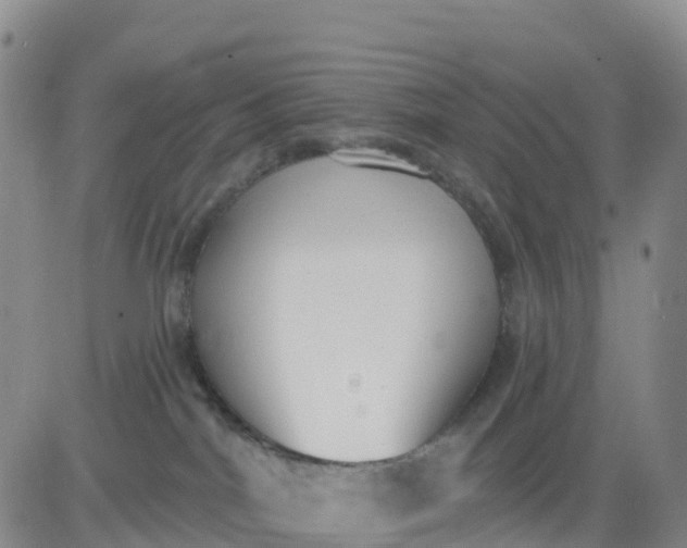 X0000080670044200612301411