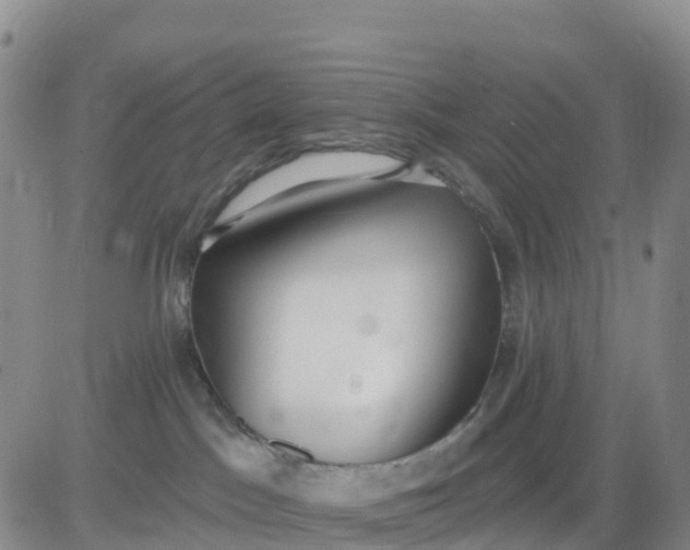 X0000080670045200612301411