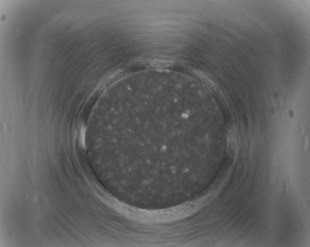 X0000080670046200612301411