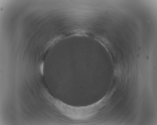 X0000080670047200612301411