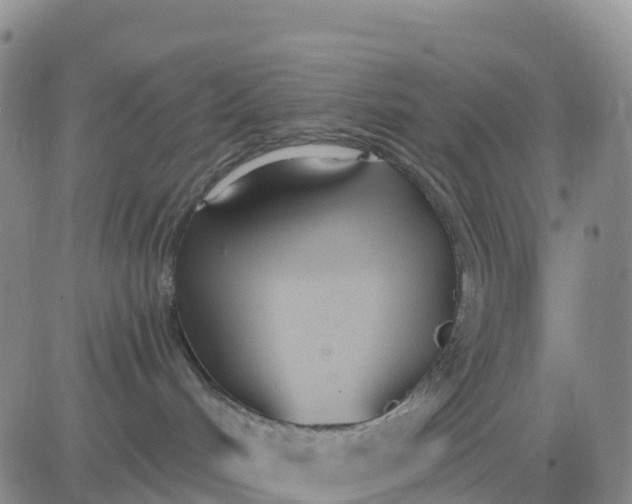 X0000080670048200612301411