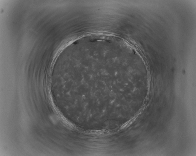 X0000080670049200612301410