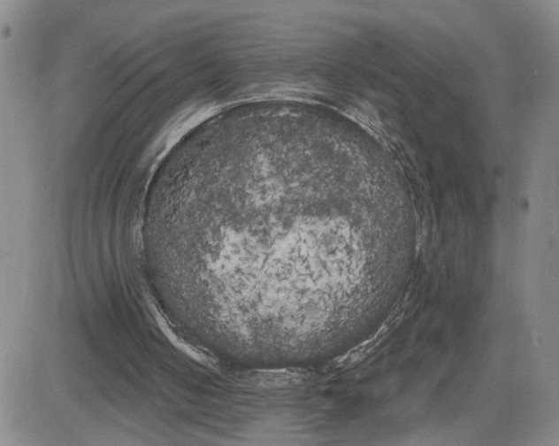 X0000080670050200612301410