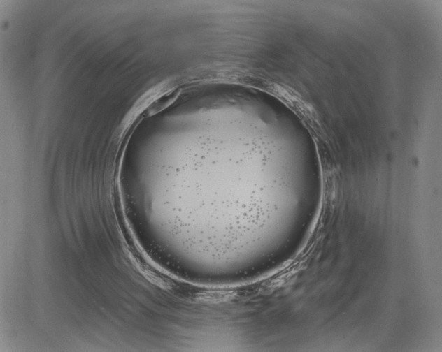 X0000080670051200612301410