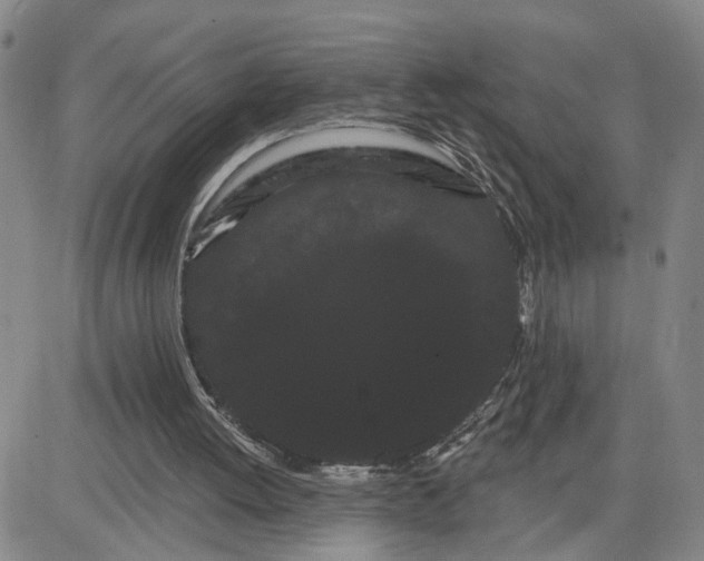 X0000080670052200612301410