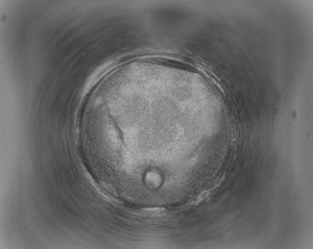 X0000080670053200612301410