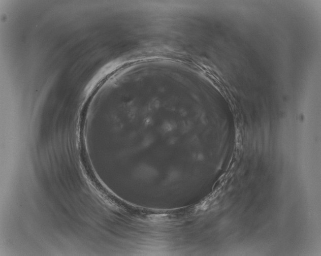 X0000080670054200612301410