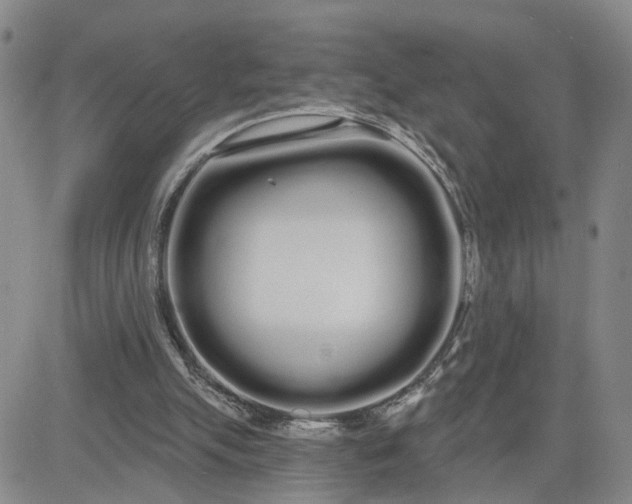 X0000080670055200612301410