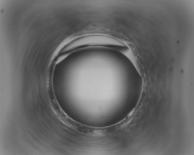 X0000080670056200612301410