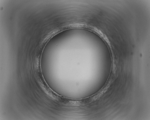 X0000080670057200612301410