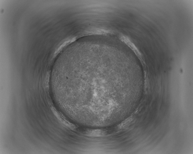 X0000080670058200612301410