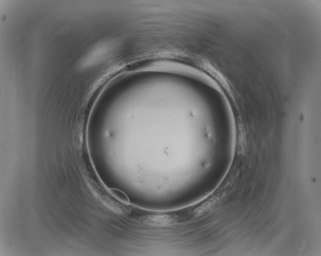 X0000080670059200612301410