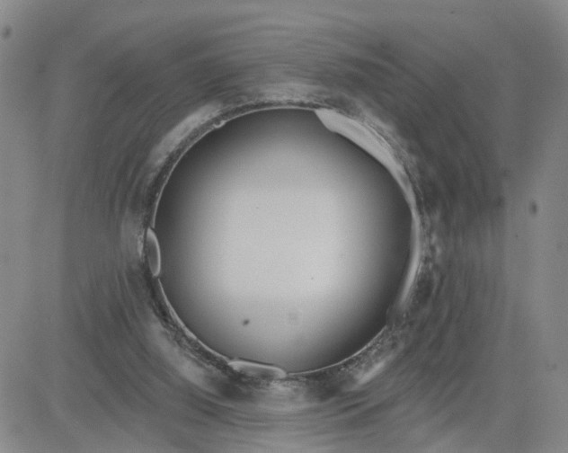 X0000080670060200612301410