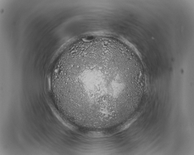 X0000080670061200612301410