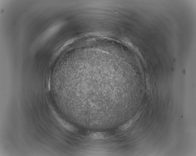 X0000080670062200612301410