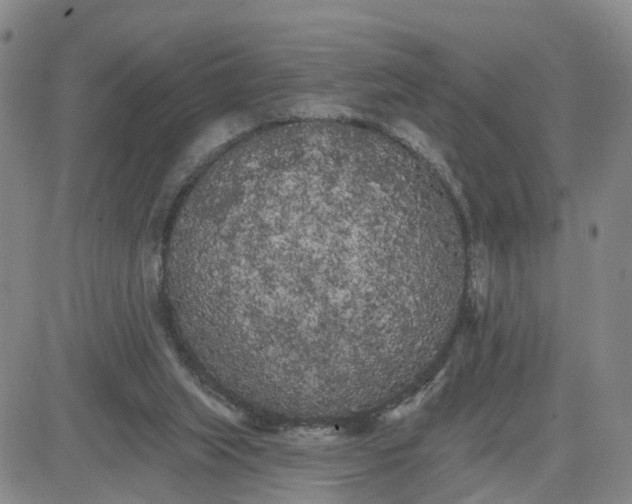 X0000080670063200612301410