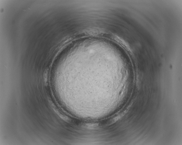 X0000080670065200612301410