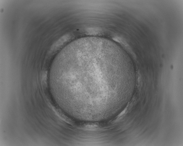 X0000080670066200612301410