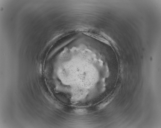 X0000080670067200612301410