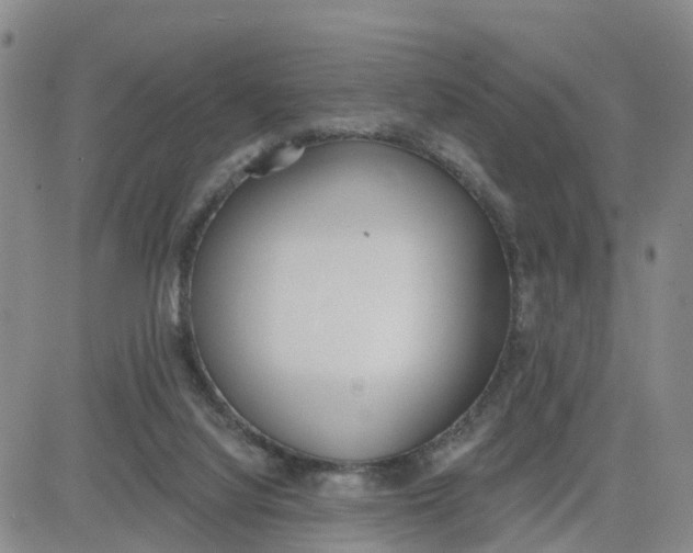 X0000080670068200612301410