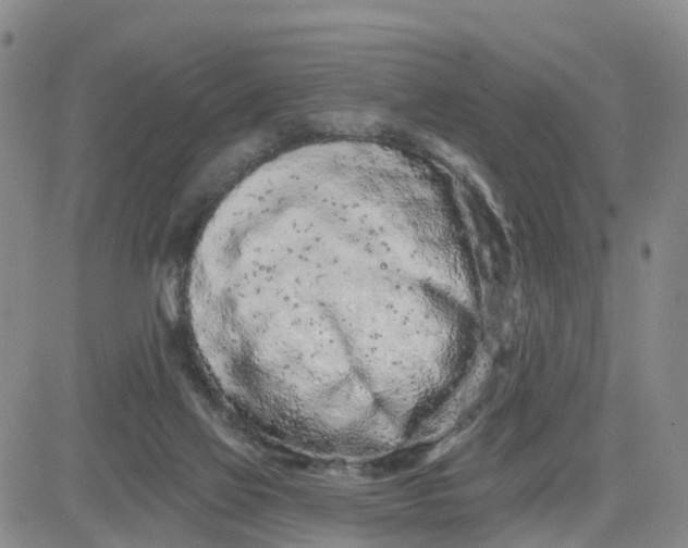 X0000080670069200612301410