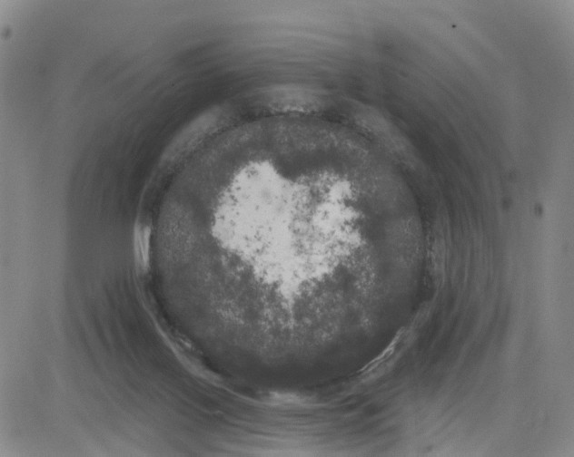 X0000080670070200612301410