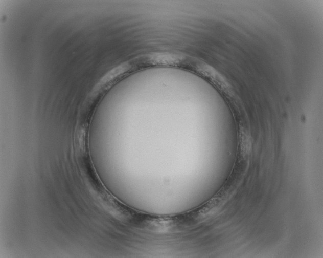 X0000080670071200612301410