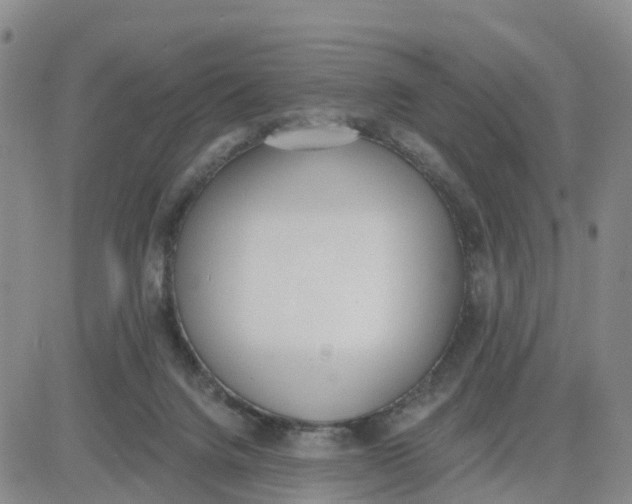 X0000080670072200612301410