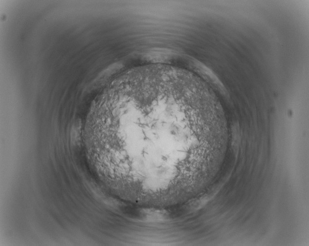 X0000080670073200612301410