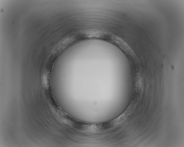 X0000080670074200612301410