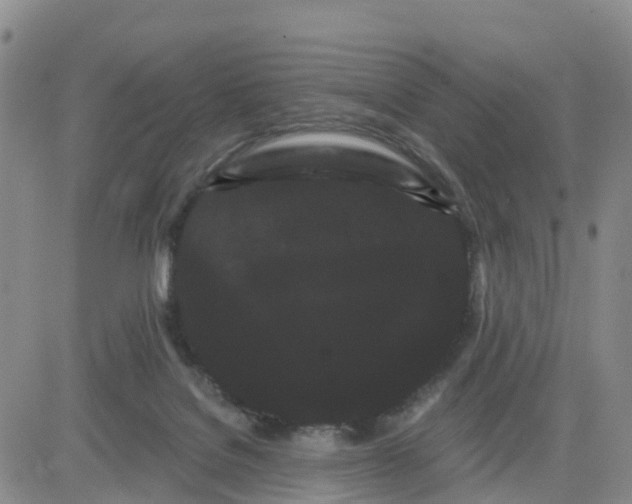 X0000080670076200612301410