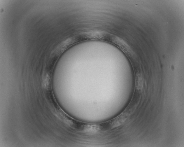 X0000080670077200612301410