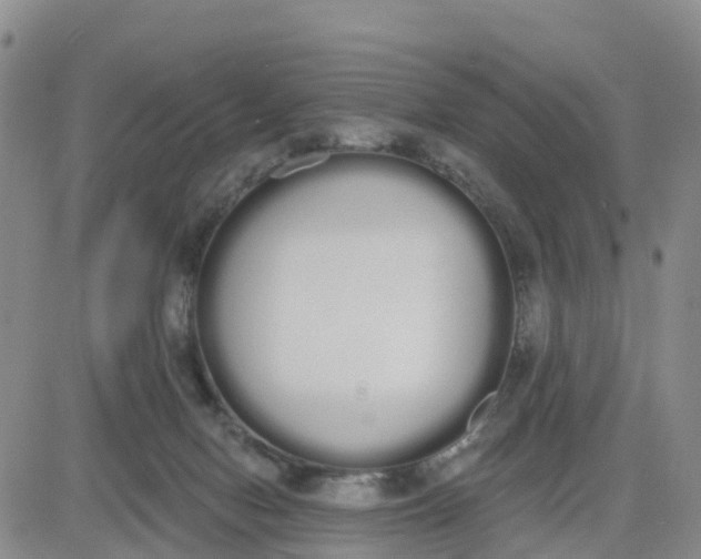 X0000080670078200612301410