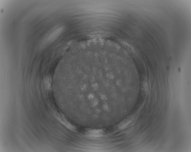 X0000080670081200612301410