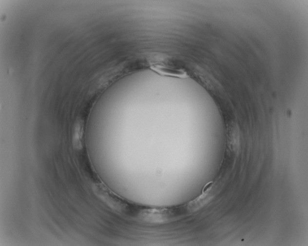 X0000080670082200612301410