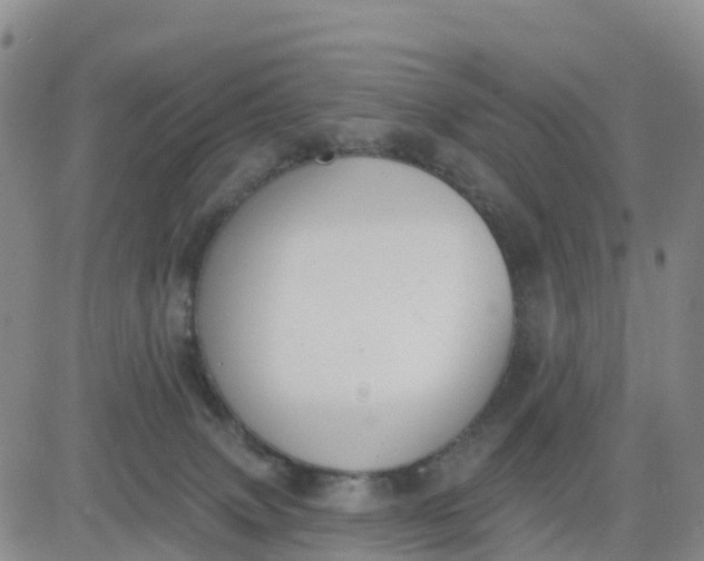 X0000080670083200612301410