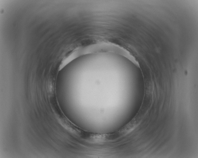 X0000080670084200612301410