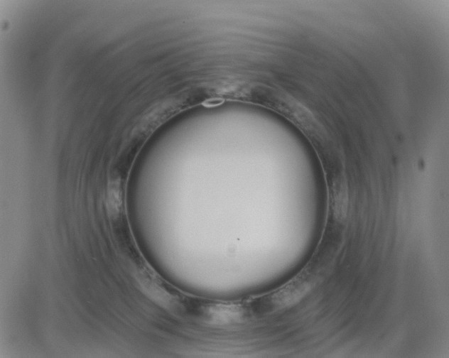 X0000080670085200612301410