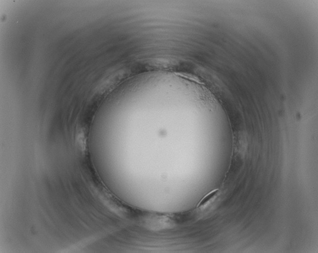 X0000080670086200612301410