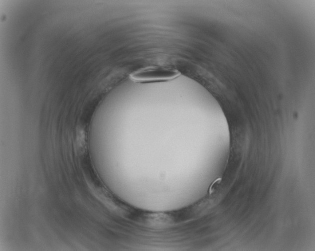 X0000080670087200612301410