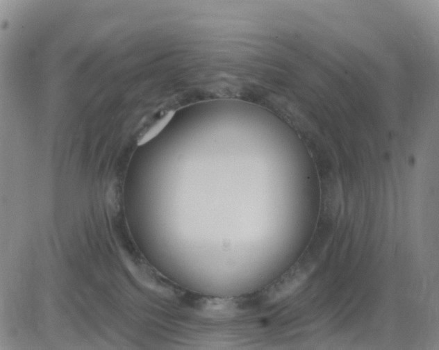 X0000080670088200612301410