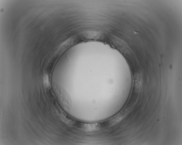 X0000080670089200612301411