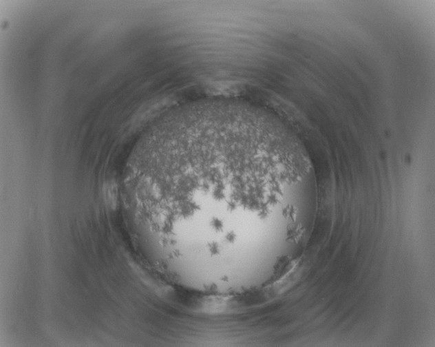 X0000080670090200612301411